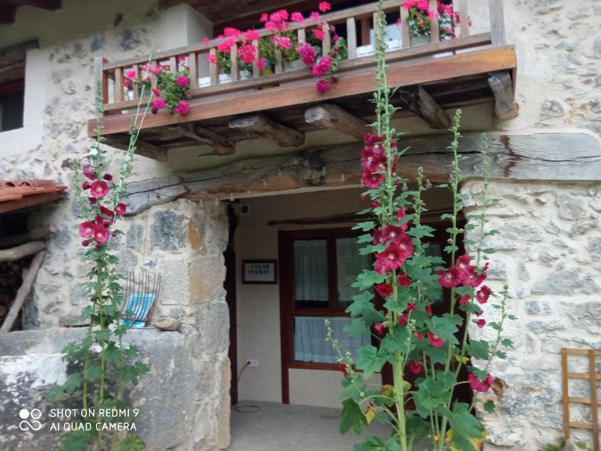 Belaustegi Turismo Rural Ispaster Exterior photo